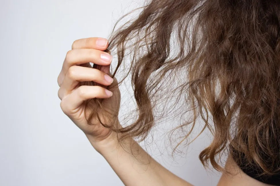 Why Your Hair Feels Dry After Moving to Bangalore